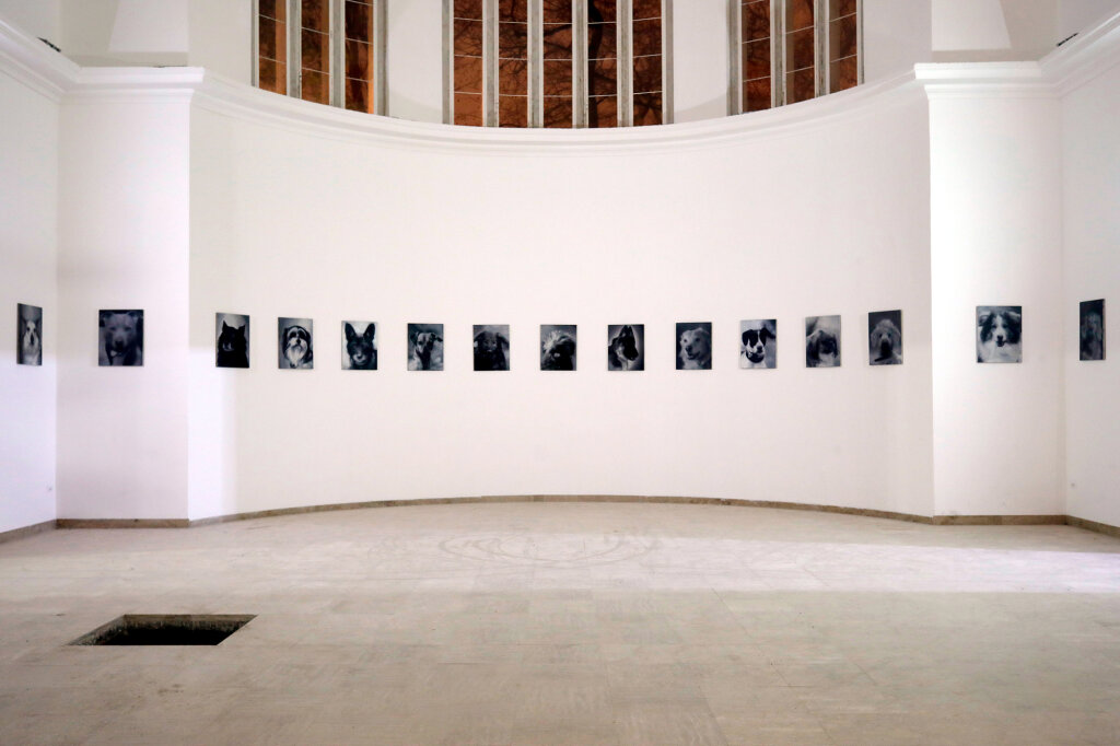 43 Hundeporträts (Öl auf Leinwand) wurden in der Nacht vom 31. Dezember auf den 1. Januar im Pavillon ausgestellt. Seitdem ermittelt die Polizei. Foto: André Simonow