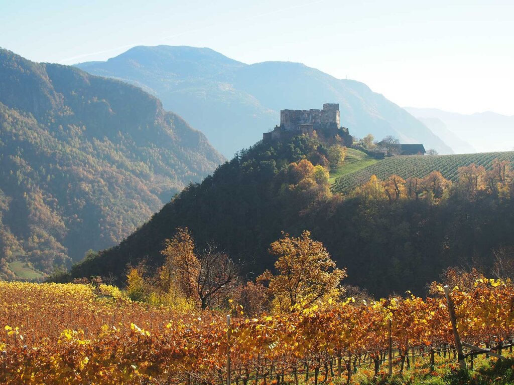 Blick auf die Ruine Rafenstein Foto: Oswald Stimpfl