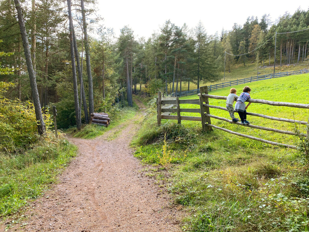 Unterwegs gibt es viel zu entdecken. Foto: Melanie Donà