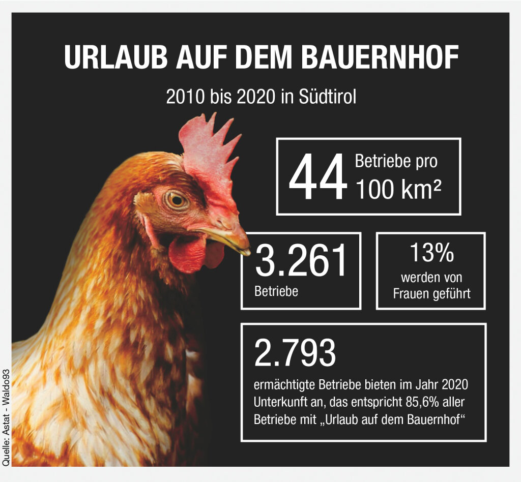 Foto: FF Media