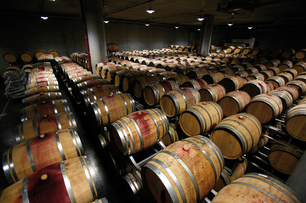 Wein-Dom: Kellerschätze der Bozner Genossen. Foto: Alexander Alber
