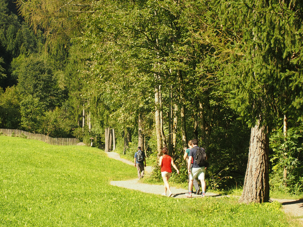 Passerschluchtenweg Foto: FF Media