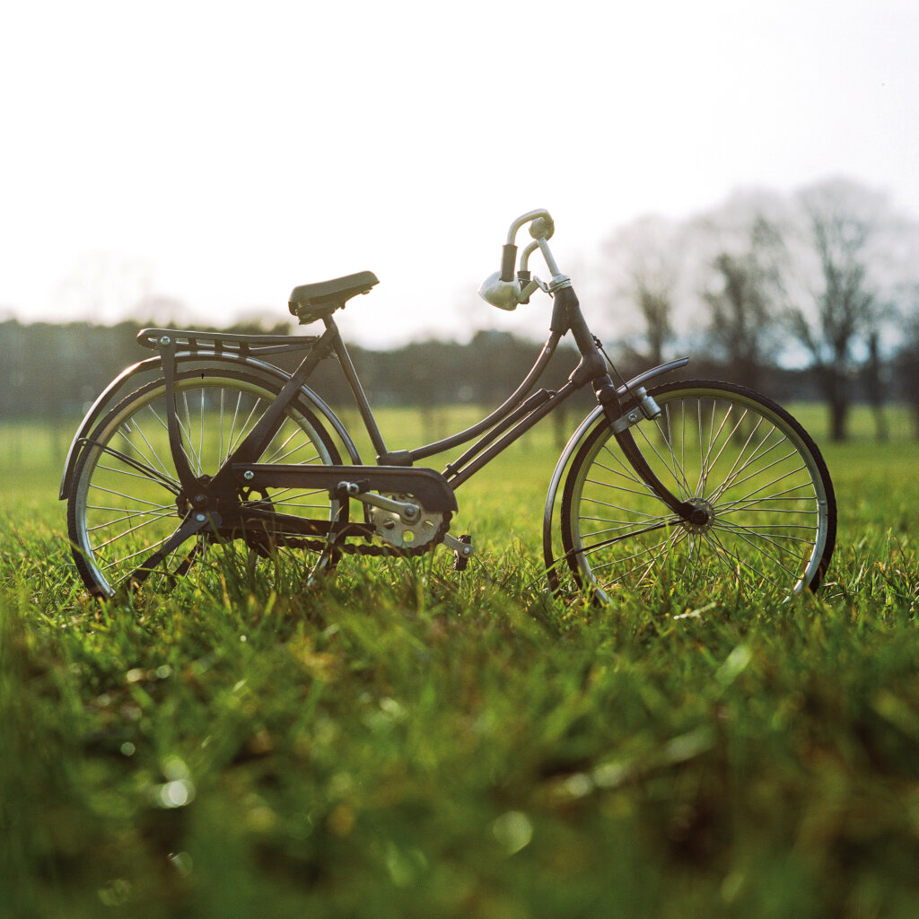 Der klassische Drahtesel: Allein in Südtirol gibt es ein 600 Kilometer umfassendes Netz an Fahrradwegen. Foto: Pixabay