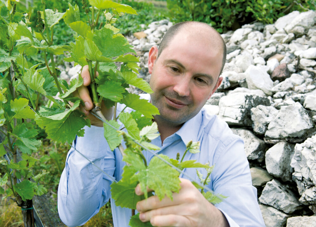 Kellereimeister Wolfgang Tratter: Wein in Amphoren.