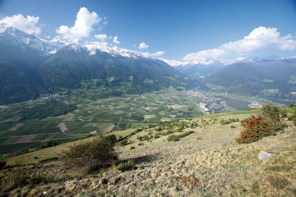 Blick auf den Vinschgau vom Sonnenberg aus. Bis in die höheren Lagen hat die Thermik die Abdrift der Pestizide aus der intensiven Landwirtschaft im Tal transportiert. Foto: Alexander Alber
