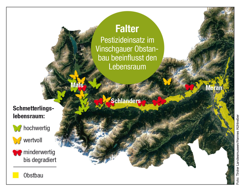 In einer Grafik hielt Tarmann die Ergebnisse fest. Dort, wo die intensive Landwirtschaft am verbreitetsten ist, ist der Schmetterlingslebensraum bereits zum großen Teil degradiert. Foto: ff-Grafik