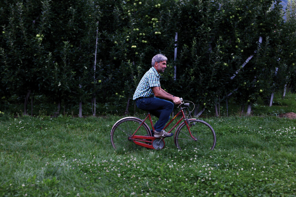 Landesrat Arnold Schuler in seiner Apfelplantage. „Die Entwicklung in unserer Landwirtschaft hat zu mehr Vielfalt geführt als noch vor Jahrzehnten.“ Foto: Alexander Alber