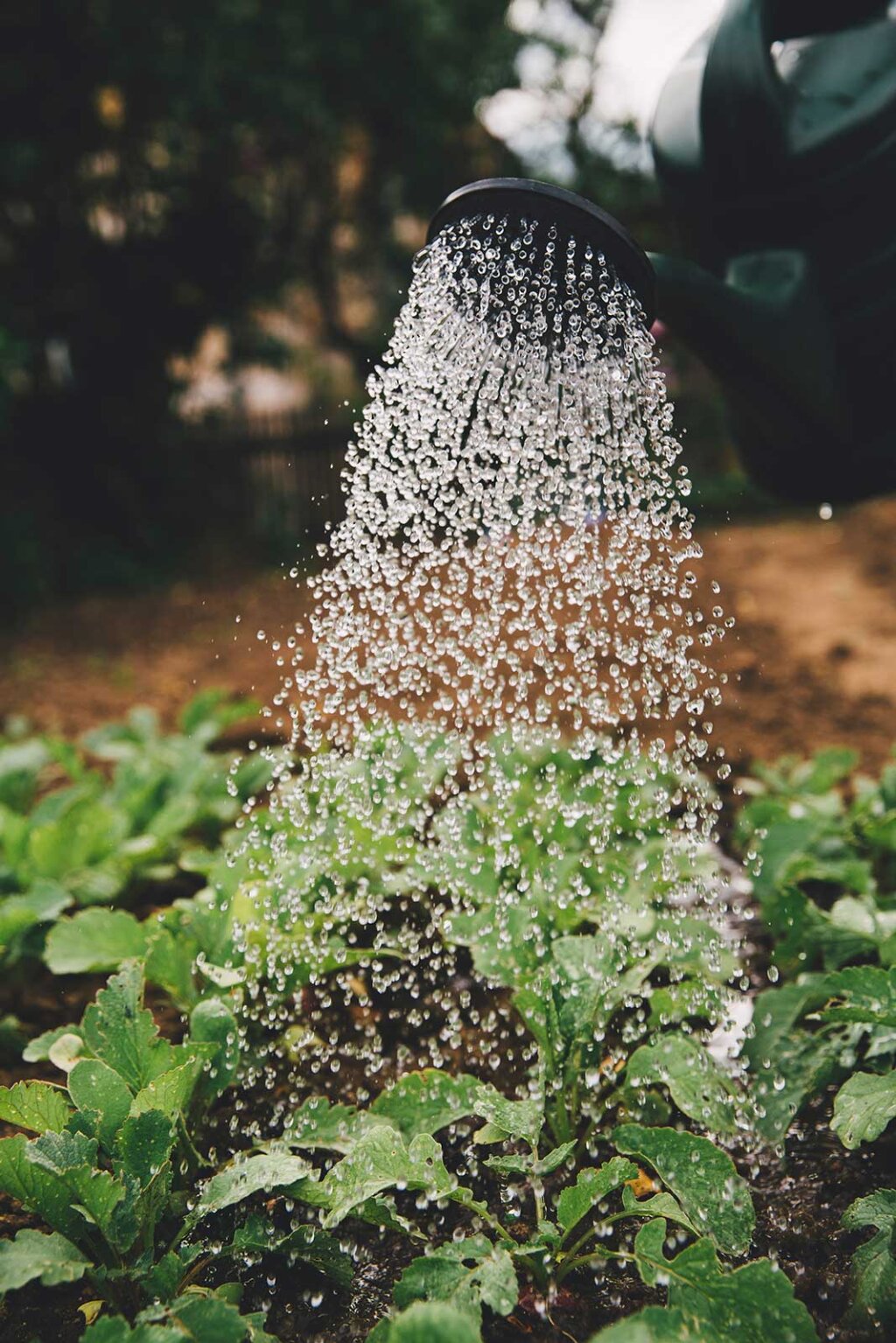 Foto: unsplash