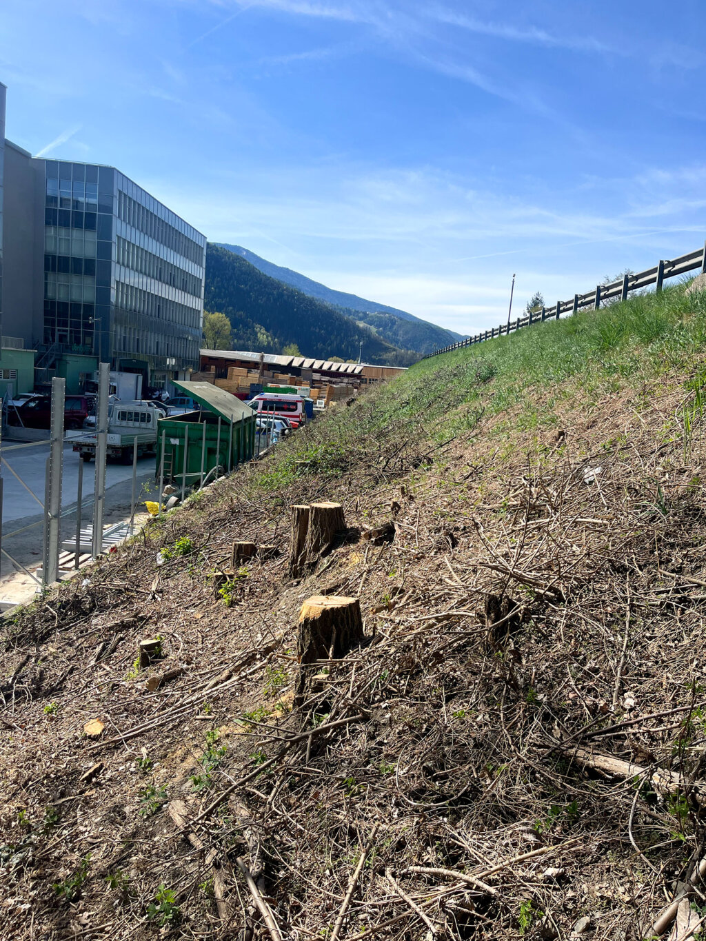 Diese Straßenböschung wurde Mitte Jänner kahl geschlagen. Offiziell heißt es, es seien nur Sträucher betroffen, vor Ort sind jedoch Baumstümpfe zu sehen. Foto: lh
