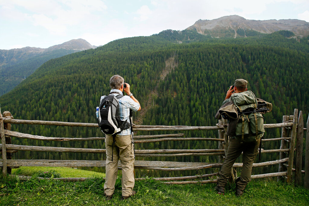 Ob die geführte Rotwildbeobachtung für Touristen im hintersten Ultental auch diesen Herbst wieder angeboten wird, bleibt abzuwarten: Die Touristen sind verunsichert. Foto: Alexander Alber