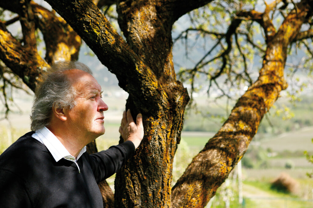 Karl Perfler im „Seelenacker“ von Tschengls: „Wissen Sie, die Tschengelsburg und die Tschenglser – sie tragen mich.“ Foto: Alexander Alber