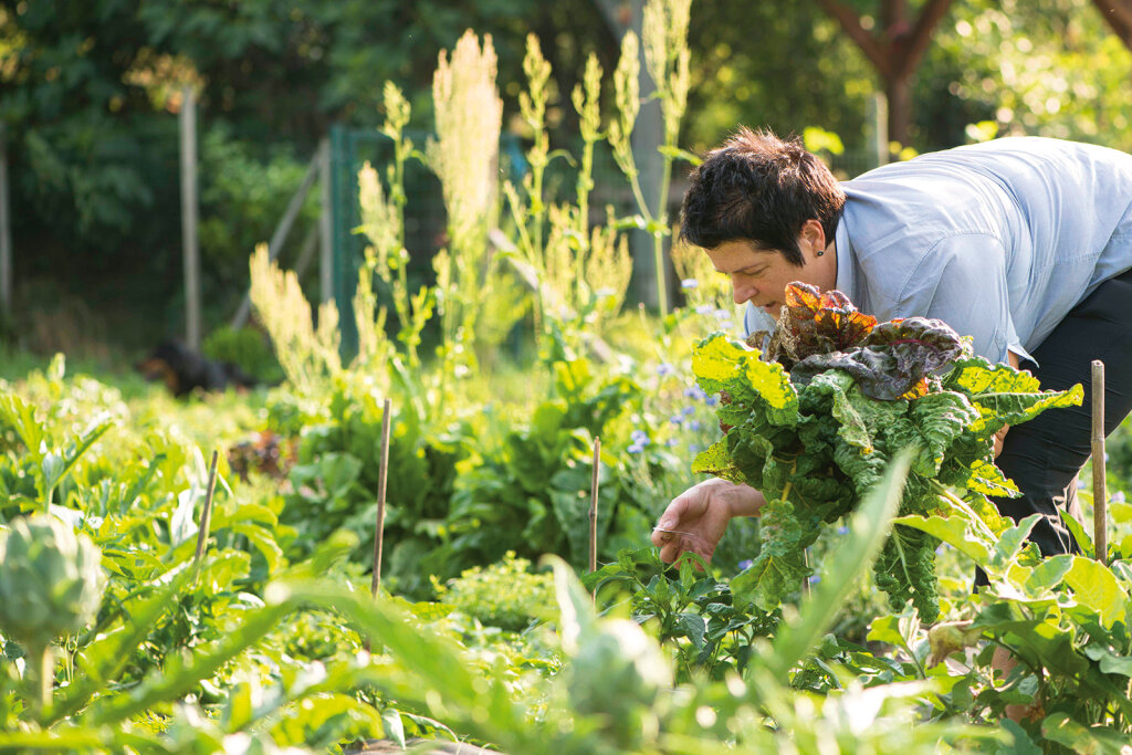 Da das Restaurant „Zum Löwen“ in Tisens zurzeit geschlossen ist, bleibt Sterneköchin Anna Matscher mehr Zeit für ihren Garten. Foto: Zum Löwen