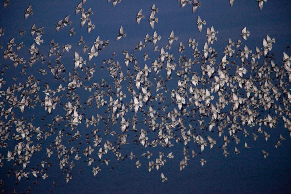 Die Ausstellung der japanischen Fotografin Rinko Kawauchi in der Galerie Fotoforum in Bozen ist noch bis 16. Juni zu sehen. Foto: Rinko Kawauchi