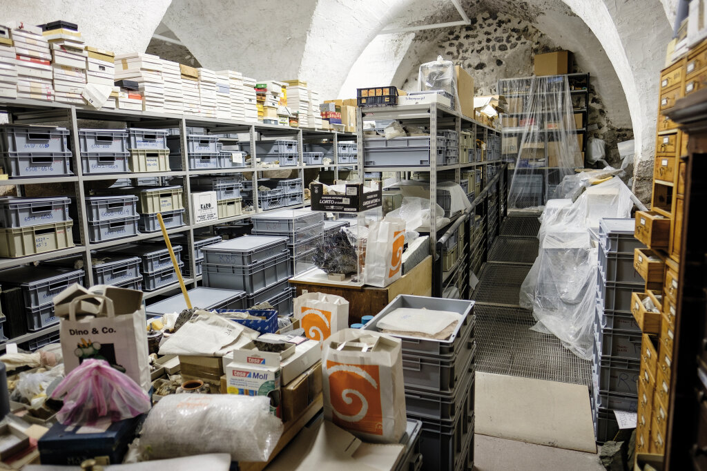 Papiertüten, Obstkartons und Plastikboxen: Im Naturmuseum gibt es keinen Platz mehr. Foto: Ludwig Thalheimer