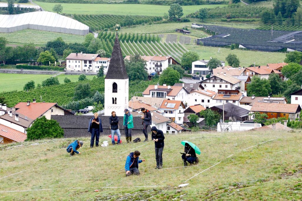 Alexander van Gerven unterwegs mit den Wissenschaftlern, die auf dem Tartscher Bühel die Artenvielfalt untersuchen. Was sie gefunden haben, lesen Sie in seiner Reportage ab Seite 40. Foto: Alexander Alber