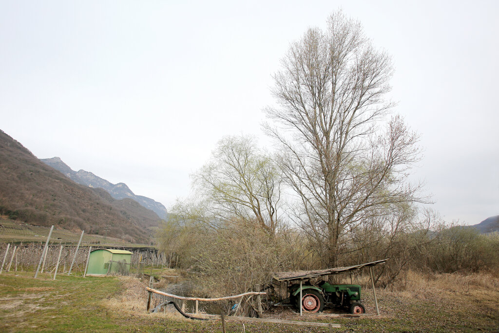 Camouflage für durstige Landwirte: Ein Traktor mit Wasserpumpe am Rande des Kalterer Sees. Foto: Alexander Alber