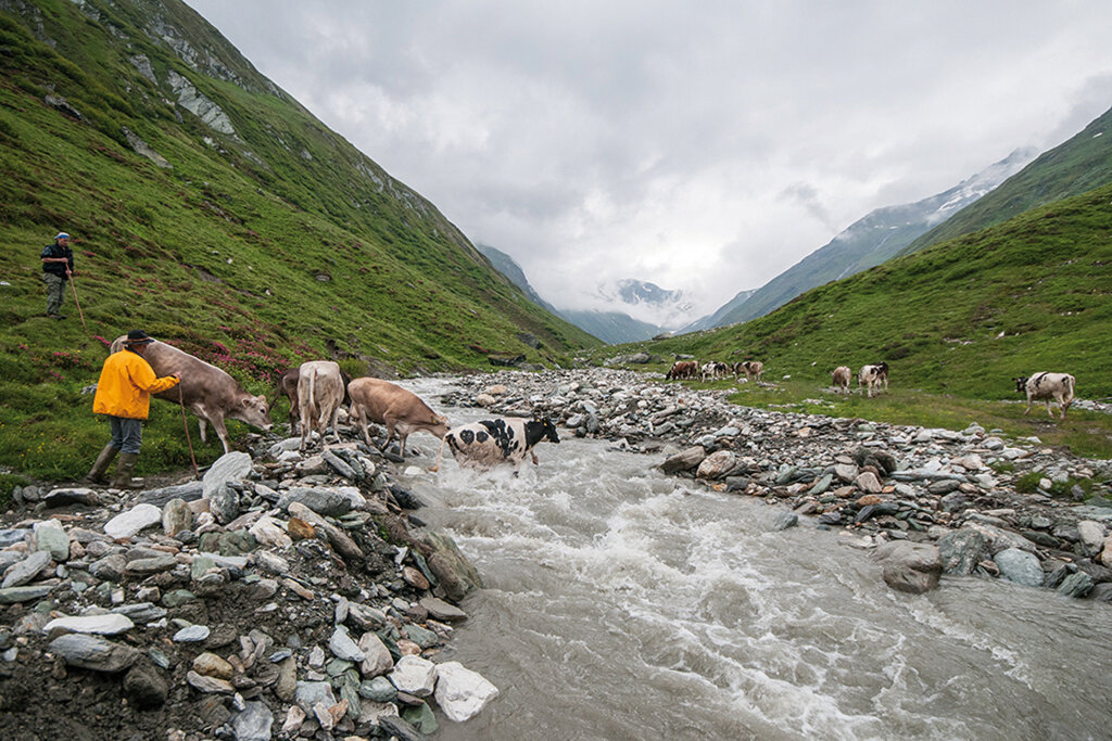 „Wanderweidewirtschaft“ dokumentiert von Fotograf Mauro Gambicorti für „Über Gletscher und Grenzen“. Foto: Mauro Gambicorti