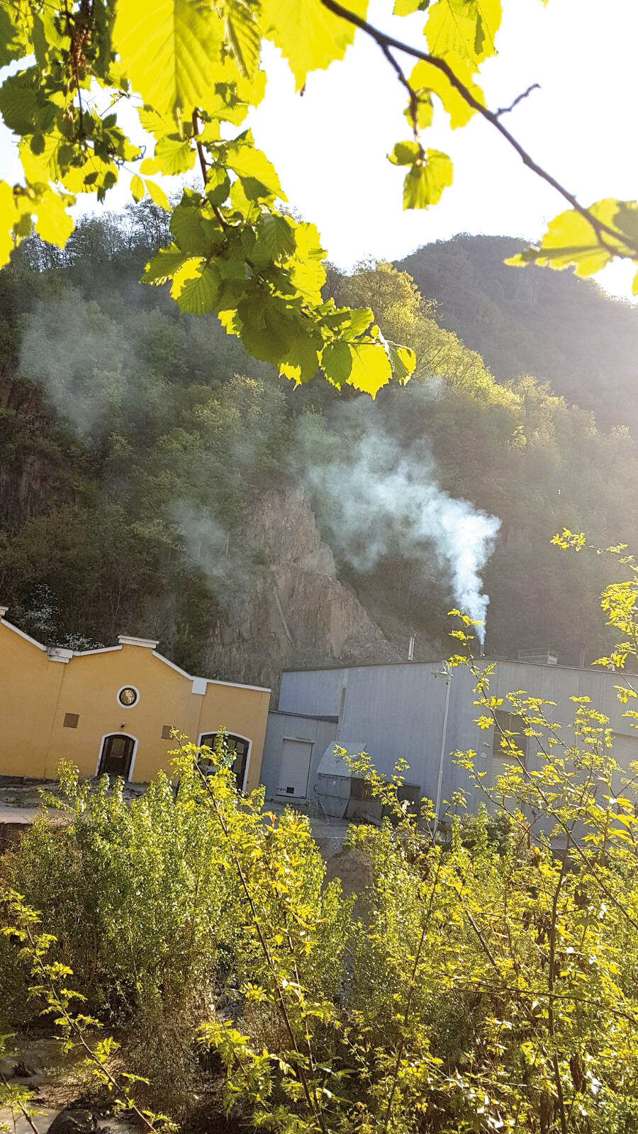 Speckproduzent Pramstrahler in Blumau: Zwei Holzvergasungsanlagen sorgen seit Monaten für dicke Luft. Foto: Archiv