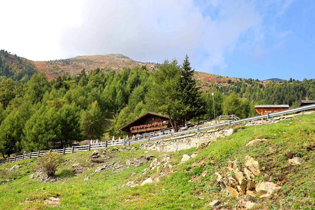 Auf dem Weg zur Reschner Alm eröffnen sich immer wieder schöne Ausblicke auf die Berge. Foto: Anja Eichelsdörfer
