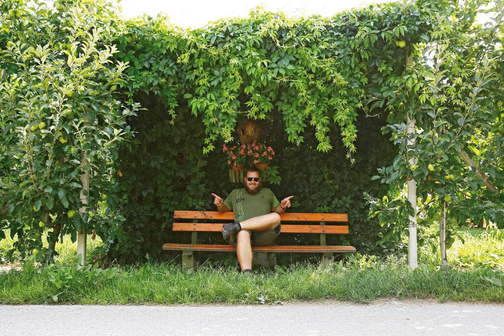 Michael Kaufmann in seiner Apfelplantage. „Am Wegesrand werden die wenigsten Äpfel geklaut.“ Foto: Alexander Alber