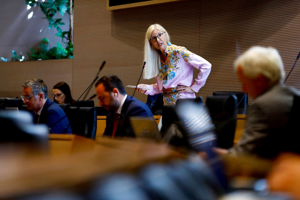 Renate Holzeisen darf im Landtag bleiben, das Wahlgesetz wurde entsprechend geändert: Jetzt soll diese Änderung auch auf die Gemeinderäte ausgedehnt werden. Foto: Alexander Alber