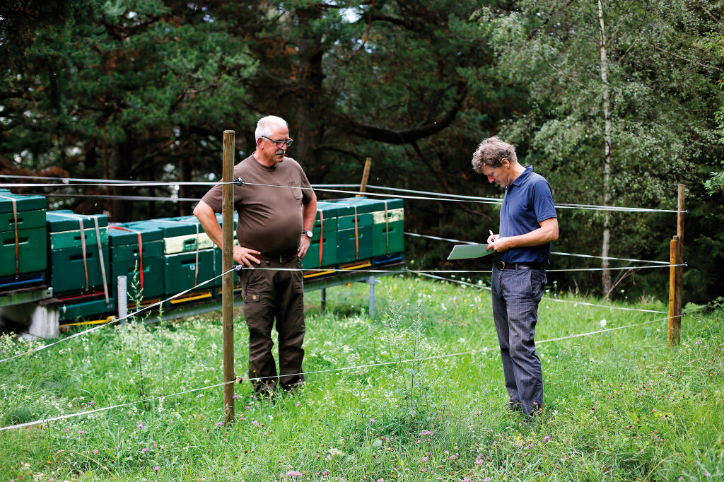 Bei den Bienen: Markus Larcher im Gespräch mit Engelbert Pohl, dem Obmann des Südtiroler Imkerbundes, hoch über Kastelbell: „Ohne uns überleben die Bienen nicht.“ Foto: Alexander Alber