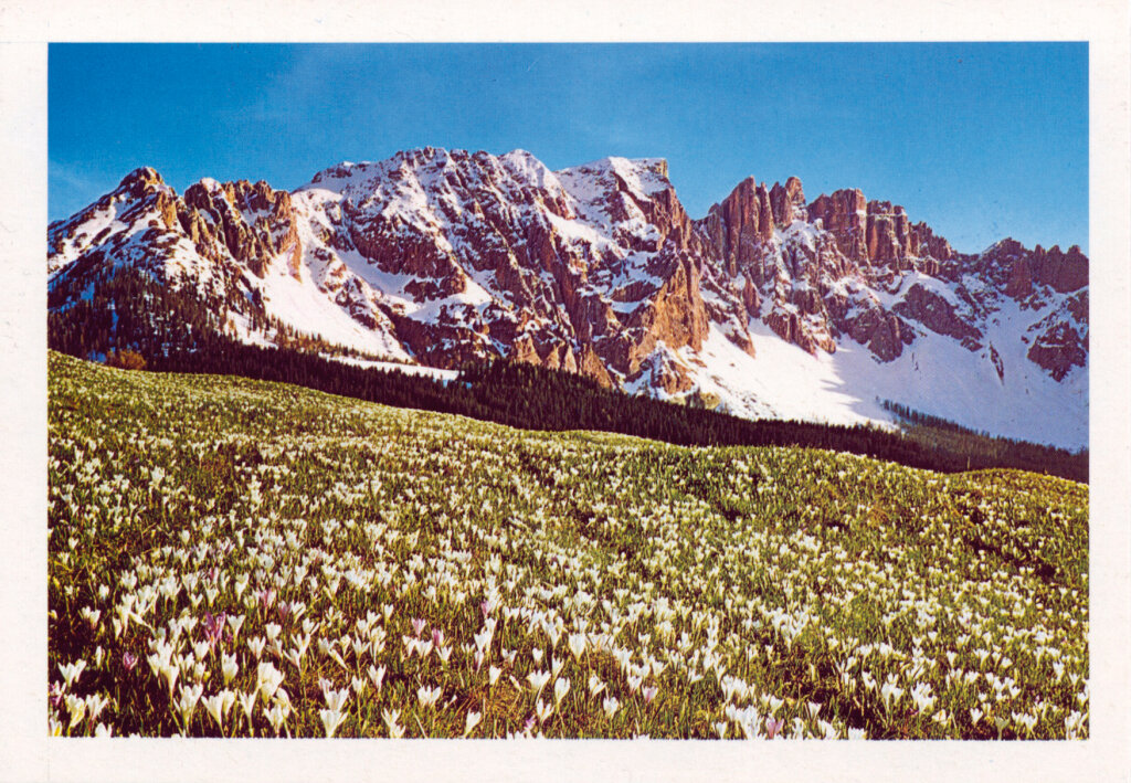 Der Latemar-Gebirgsstock: Das „Bergparadies“ in den Südtiroler Dolomiten. Foto: Archiv Fränzl
