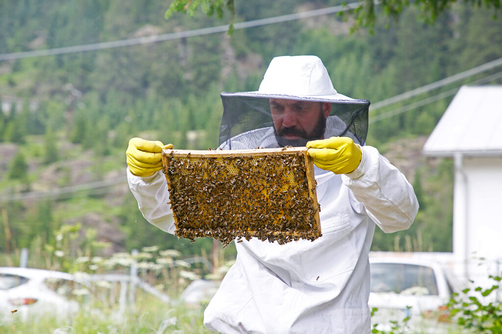 Schlechte Stimmung unter Südtirols Imkern: Statt 13 Kilogramm Honig konnten sie dieses Jahr nur fünf Kilogramm pro Bienenvolk ernten. Foto: Alexander Alber
