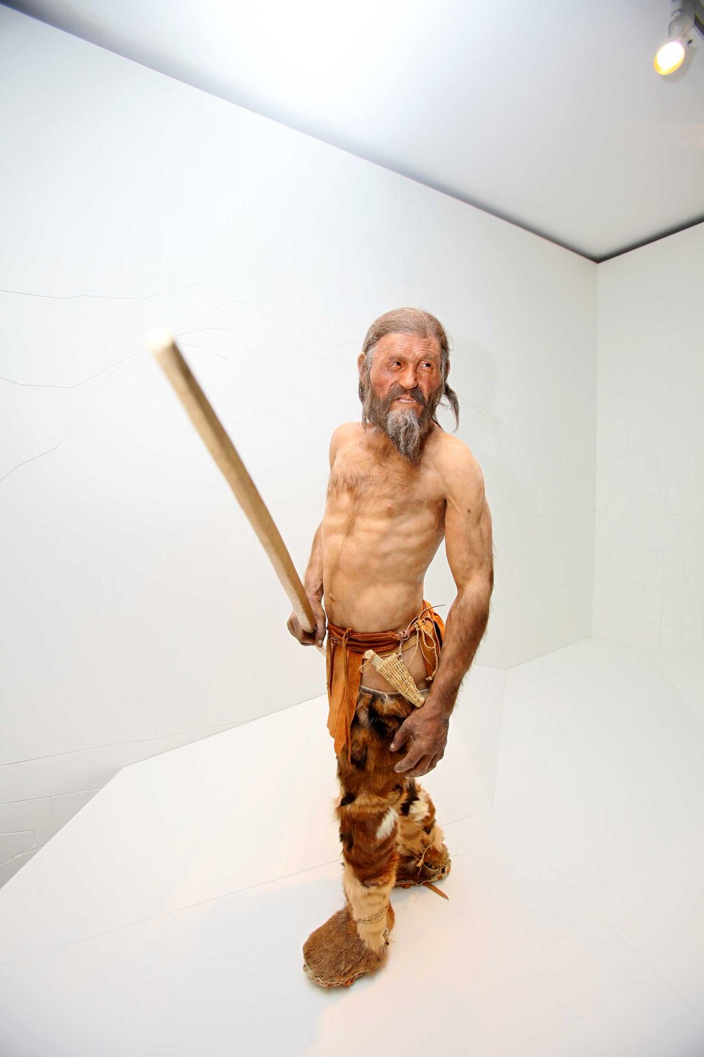So sah Ötzi eher nicht aus: Laut neuen DNA-Analysen soll er dunklere Haut und die Veranlagung zu einer Glatze gehabt haben. Foto: Alexander Alber