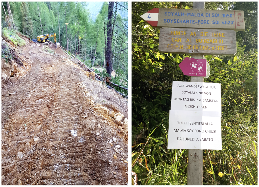 Bau eines Wander- und Viehtriebweges auf die Soyalm im Nationakpark Stilfser Joch: „Die Frage ist, wohin wir mit unserer Almwirtschaft wollen?“ Foto: Privat