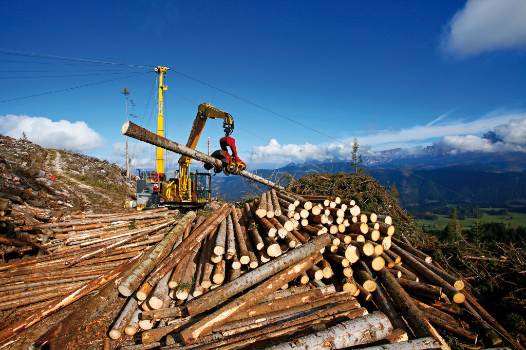 Maschinelle Holzgewinnung ist in den Windwurfflächen Trumpf: Mobilseilkran-Anlage (mit Kippmast samt Bagger mit montiertem Prozessor) über den Resten des sogenannten Bannwaldes in Deutschnofen. Foto: Alexander Alber