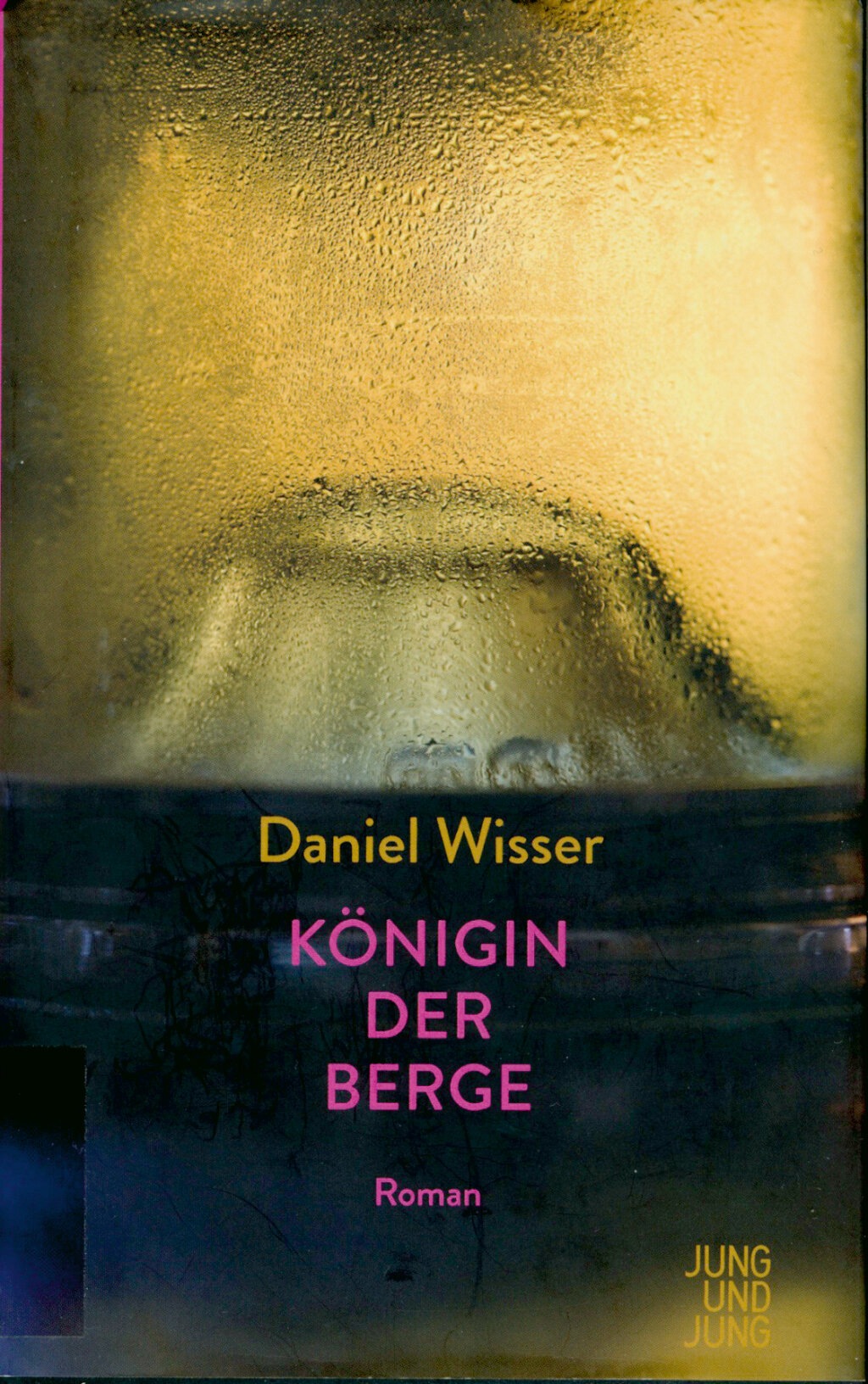 Österreichischer Buchpreis: Roman von Daniel Wisser.
