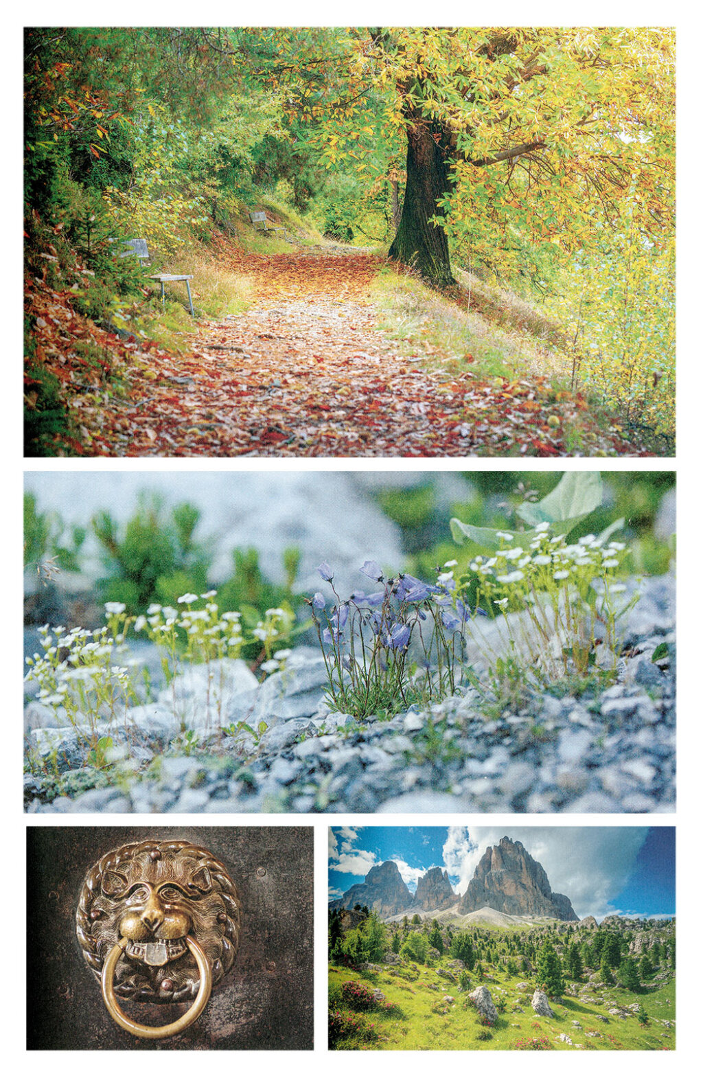 „Mystische Orte in Südtirol. Wasser, Kulte, Mythen“ (Edition Raetia 2020, 363 Seiten, 29,90 Euro). Foto: Martin Ruepp