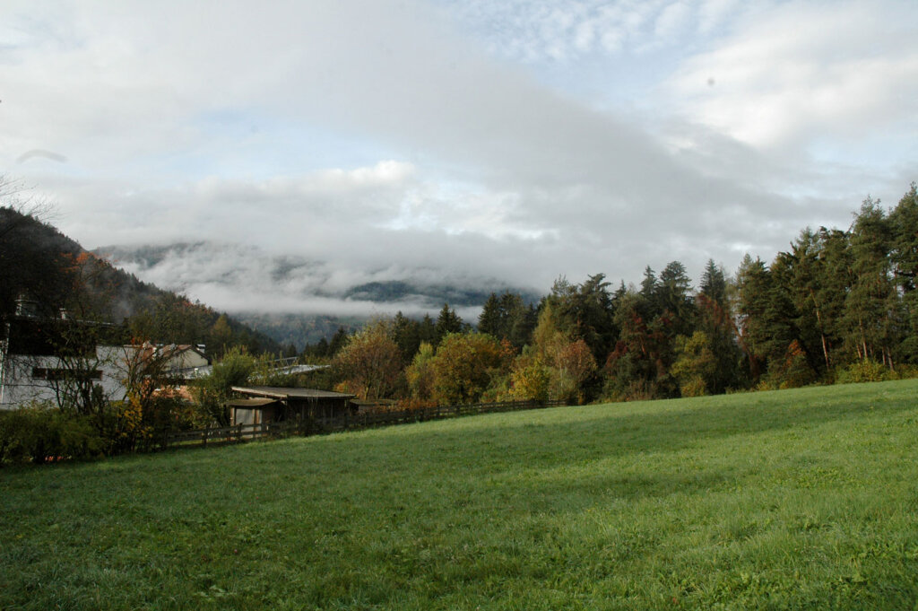 An diesem Standort nahe der Wohnsiedlung am Issinger Weiher ist ein Fernheizwerk geplant: Das Projekt ist umstritten. Foto: Archiv