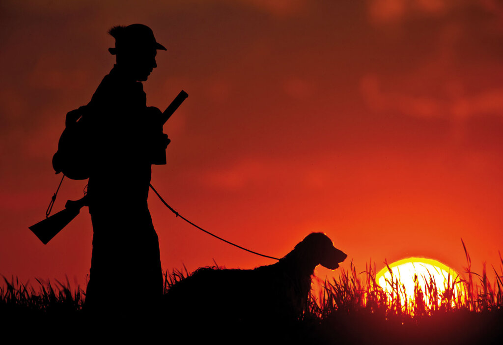 „Jäger sind durchaus Anwälte der Wildtiere, sofern die Jagd nachhaltig ist und tierethische Prinzipien verfolgt werden“, sagt Moling. Foto: Patrick Pleul/Apa